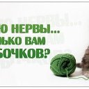 ���� ���, ������ - ��������� 5 �������� 2016 � ������ ������ ��������