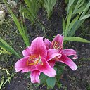 ���� �����, ������ - ��������� 23 ��� 2016 � ������ ���� ����������