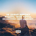 ���� ����, �����, 61 ��� - ��������� 8 ��� 2016 � ������ ������