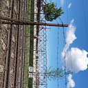���� Roli, ��������, 52 ���� - ��������� 14 ���� 2016 � ������ ���������