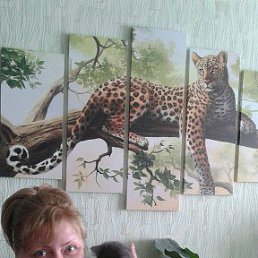 ���� �����, �������, 54 ���� - ��������� 10 ������� 2016