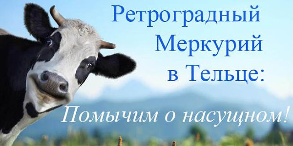 ������������ �������� � ��� 2016.�� ���� � ����������� ��� � �������� ������������� �����, ������� ...