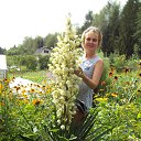 ���� ���� �����, ���������, 56 ��� - ��������� 13 ���� 2016 � ������ ���� ����������