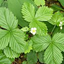 ���� ����, ������ - ��������� 24 ��� 2016 � ������ ��������,�������, �������� ��� ������...�