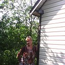 ���� �����, �����, 58 ��� - ��������� 3 ������� 2016