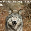 ���� ���������, ����������, 64 ���� - ��������� 20 ����� 2016 � ������ ������ ��������