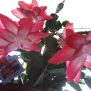 ���� ����, ��������, 60 ��� - ��������� 29 ������ 2016 � ������ ���� ����������