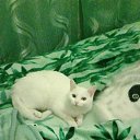 ���� �����, ���������, 59 ��� - ��������� 24 ����� 2016 � ������ ���� ����������