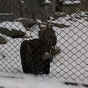 ���� ����, ������������, 35 ��� - ��������� 12 ���� 2016 � ������ �Moscow 2016 January�