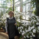 ���� ������, ������, 66 ��� - ��������� 12 ������ 2016 � ������ ������������� ���