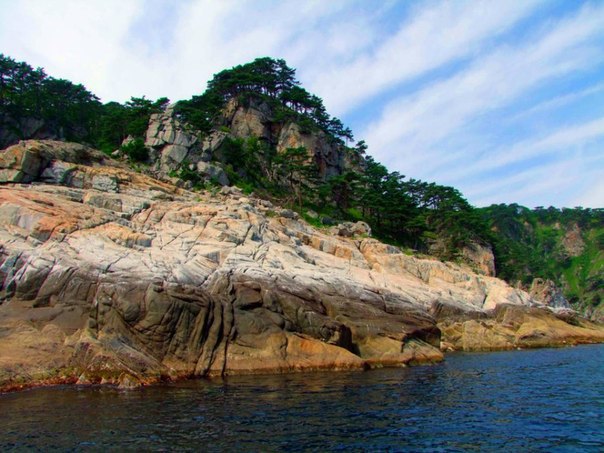  ,  .         ... - 3