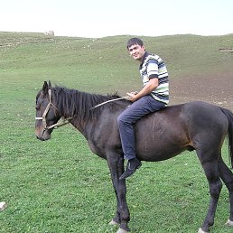 �����, �����, 44 ����