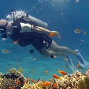 ���� �����, ����������, 48 ��� - ��������� 27 ������ 2016 � ������ ���� ����������