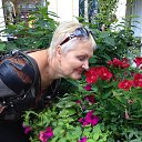 ���� �������, ����, 72 ���� - ��������� 23 ���� 2016 � ������ ���� ����������