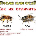 ���� ������, ���������, 42 ���� - ��������� 3 ��� 2016 � ������ ������ ��������