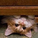 ���� ������, ������������ - ��������� 26 ������� 2016 � ������ ���� ����������