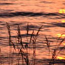  , -, 55  -  27  2016   