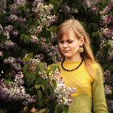 ���� �����, �����-��������� - ��������� 31 ���� 2016 � ������ ���� ����������