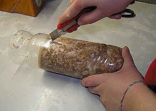 "Куриный рулет в бутылке". Ингредиенты: Курица — 1 Штука Грецкие орехи — 100 Грамм Желатин ... - 4