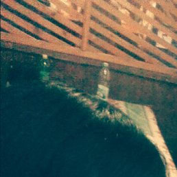 �����, ������������, 37 ���