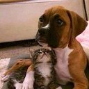 ���� ����, ������� - ��������� 11 ������ 2016 � ������ ��������