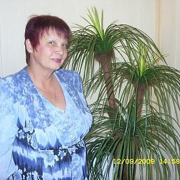 ���� �������, �����������, 72 ���� - ��������� 26 ����� 2016