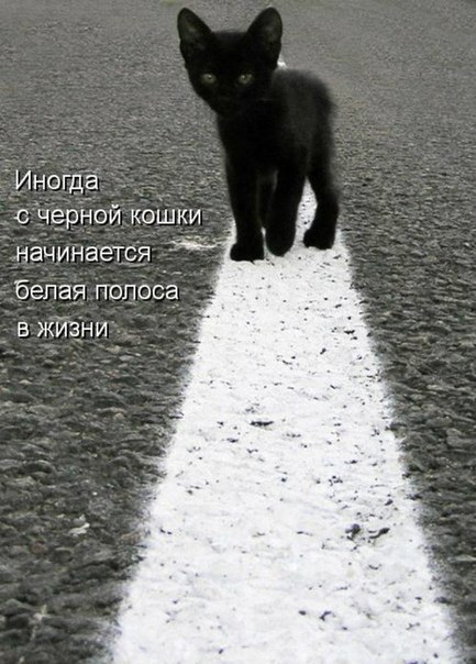 ��� �������� �������� - 25 ����� 2016 � 09:14