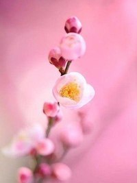 , ,  - 18  2016  03:10 - 6