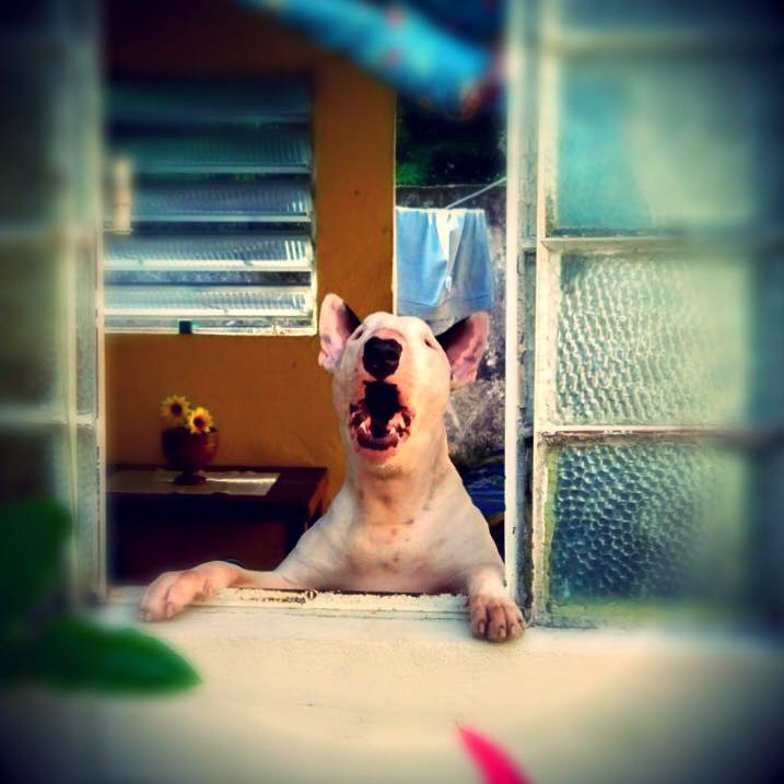 Доброе утро, Буле-Городок!