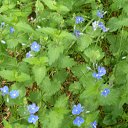 ���� ����, ������ - ��������� 24 ��� 2016 � ������ ��������,�������, �������� ��� ������...�