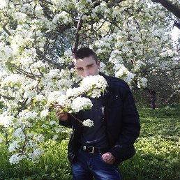 ���� �����, ������� - ��������� 12 ���� 2016