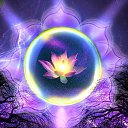 ���� ������, ������ - ��������� 10 ������ 2016 � ������ ������ ��������