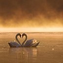 ���� ��������, ��������� - ��������� 21 ���� 2016 � ������ �������-���.....�