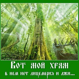 ���� �����, ������, 58 ��� - ��������� 14 ������� 2016