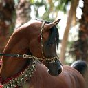 ���� �����, ������ - ��������� 23 ���� 2016 � ������ ������ ��������