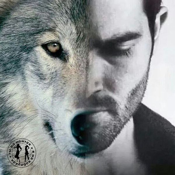 Не тот мужик, кто с бабой спал, не тот мужик, кто плац топтал, а тот мужик, кто смог семью создать, ...