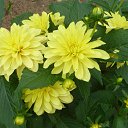  ,  -  24  2016   &quot;  &quot;.. 2016