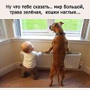 ���� �����, ������� - ��������� 24 ������� 2016 � ������ ������ ��������
