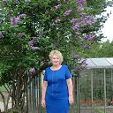 ���� �������, ������ - ��������� 22 ���� 2016 � ������ ���� ����������