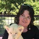 ���� ����, ������, 36 ��� - ��������� 9 �������� 2016 � ������ ���� ����������