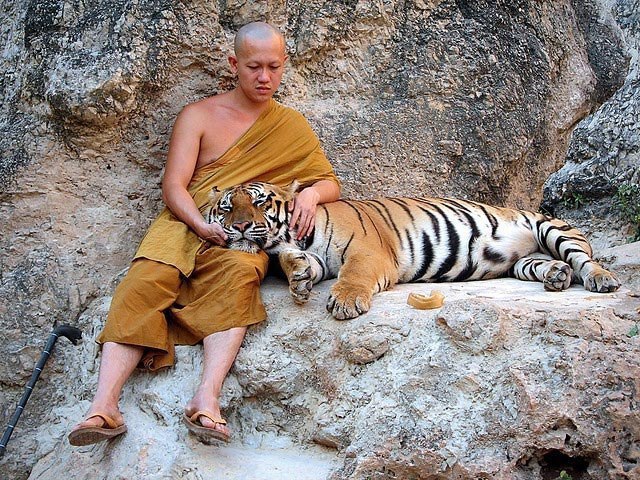 В мире животных - 18 апреля 2016 в 14:08 - 5