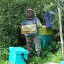 ���� ���������, ������, 57 ��� - ��������� 26 ���� 2016 � ������ ���� ����������