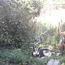 ���� ��������, ������, 64 ���� - ��������� 7 ��� 2016 � ������ ���� ����������