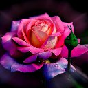  Anatoly, , 52  -  18  2016    