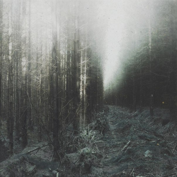 ,  Dark Souls,    .