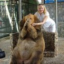 ���� ��������, ������ - ��������� 10 ������ 2016 � ������ ���� ����������