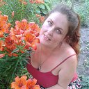 ���� �����, ���������������, 42 ���� - ��������� 19 ���� 2016 � ������ ��������