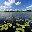 ����� ������� � �������� ������. �� ������� �������� �������