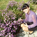 ���� ����, �����-���������, 57 ��� - ��������� 29 ������� 2016 � ������ ���� ����������