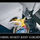 ���� Vadim, ��������, 45 ��� - ��������� 22 ����� 2016 � ������ ������ ��������